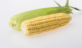 冷冻玉米怎么煮好吃 煮冷冻玉米的方法