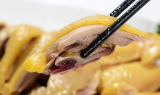 家常炖清汤鸡肉的简单方法 家常炖清汤鸡肉的烹饪方法