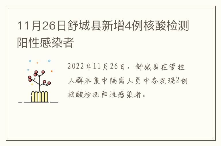 11月26日舒城县新增4例核酸检测阳性感染者