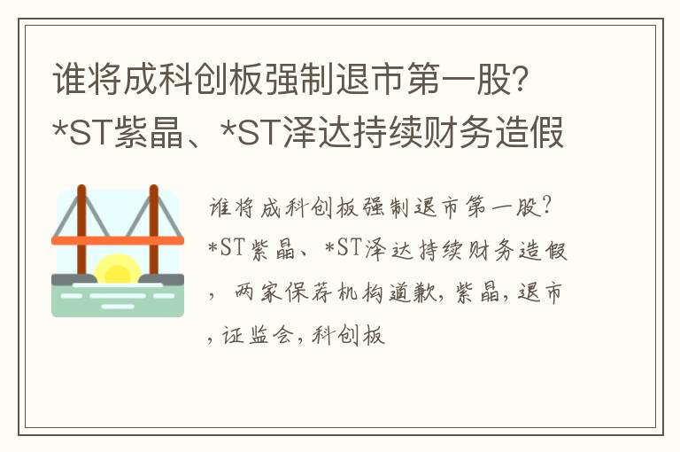 谁将成科创板强制退市第一股？*ST紫晶、*ST泽达持续财务造假，两家保荐机构道歉