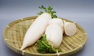 嫩萝卜叶可以怎么吃 嫩萝卜叶的做法