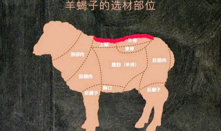 羊哪个部位好吃 羊哪个部位比较好
