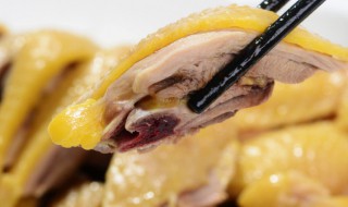 正宗醋炒鸡的做法 醋炒鸡的做法