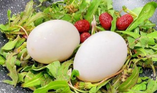 炖鹅蛋最简单方法 炖鹅蛋的做法