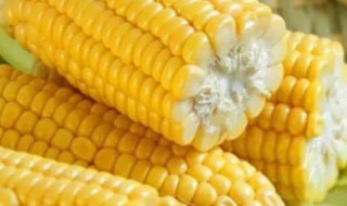 包谷怎么煮好吃 包谷如何煮好吃