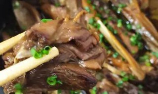 沙锅炖鸭子好吃的简单方法 沙锅炖鸭子好吃的简单方法是什么