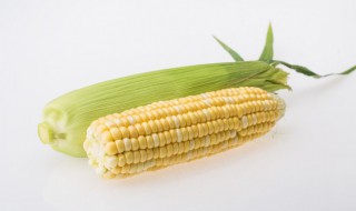 大颗粒嫩玉米怎么吃 嫩玉米鸡蛋羹的做法