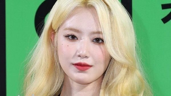 这张脸招人嫉妒也太正常了…