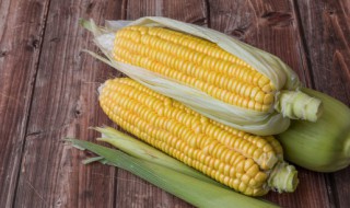 宝宝辅食嫩玉米怎么吃 宝宝辅食嫩玉米的做法