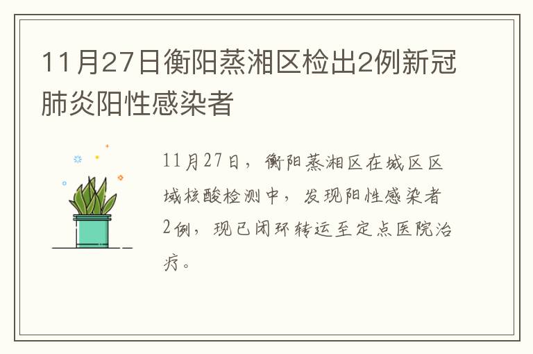 11月27日衡阳蒸湘区检出2例新冠肺炎阳性感染者