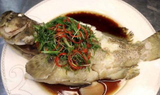 石斑鱼怎么制作最好吃 石斑鱼如何做美味好吃