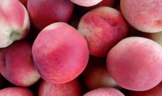 毛桃怎么制作最好吃 毛桃如何制作最好吃