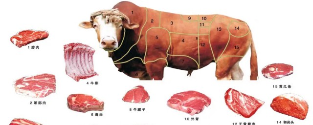 牛肉哪些部位好吃 牛肉哪些部位比较好