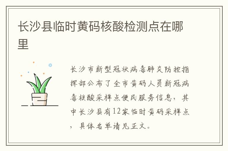 长沙县临时黄码核酸检测点在哪里