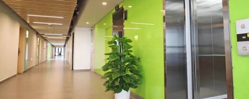 第一波网络科技是上市公司吗