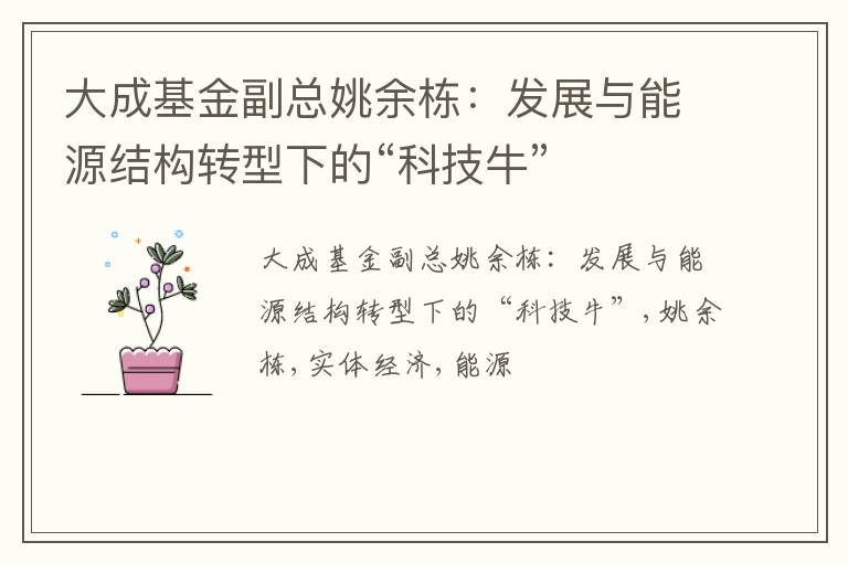 大成基金副总姚余栋：发展与能源结构转型下的“科技牛”