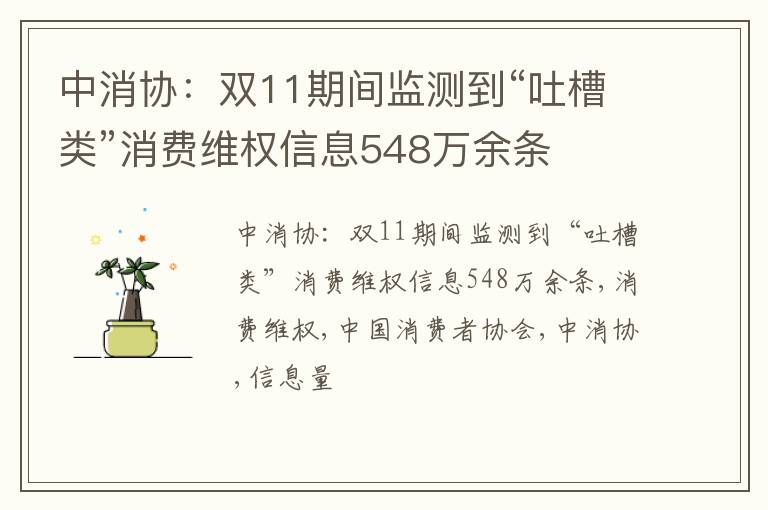 中消协：双11期间监测到“吐槽类”消费维权信息548万余条