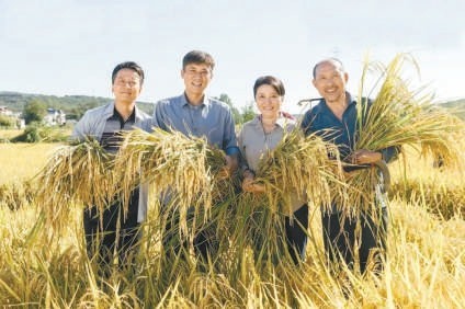 由甲像普通观众一样追看自己编的剧 “很有烟火气,超出我想象”