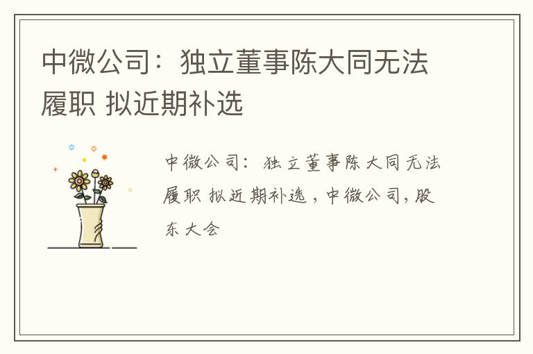 中微公司：独立董事陈大同无法履职 拟近期补选