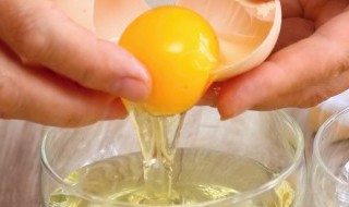 吃鸡蛋能喝奶粉吗 鸡蛋跟奶粉能不能一起吃
