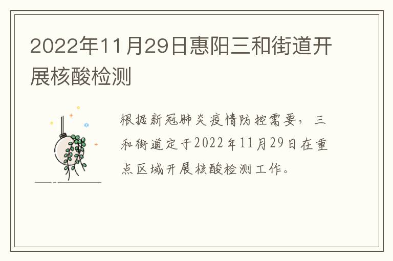 2022年11月29日惠阳三和街道开展核酸检测