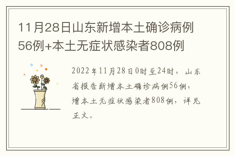 11月28日山东新增本土确诊病例56例+本土无症状感染者808例