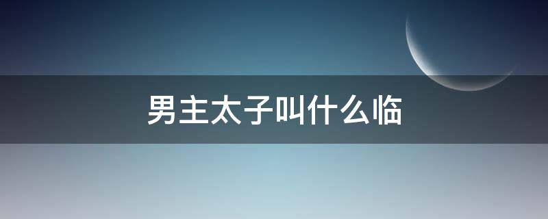 男主太子叫什么临