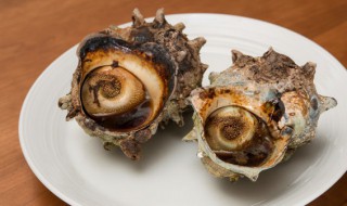 海螺怎么吃嫩 海螺怎样煮才鲜嫩又好吃