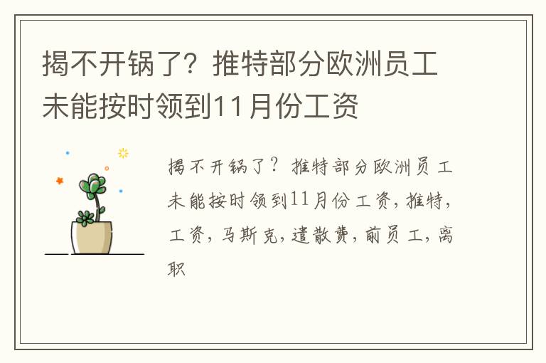 揭不开锅了？推特部分欧洲员工未能按时领到11月份工资