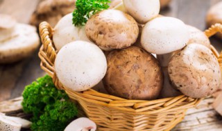 吃蘑菇能喝酸奶吗 蘑菇能和酸奶一起食用吗