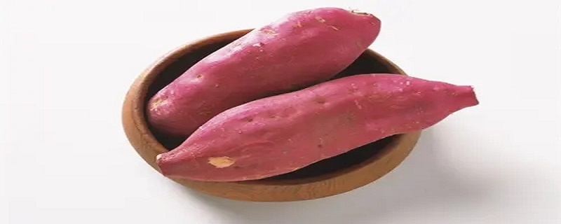 红薯一般要蒸多久才熟