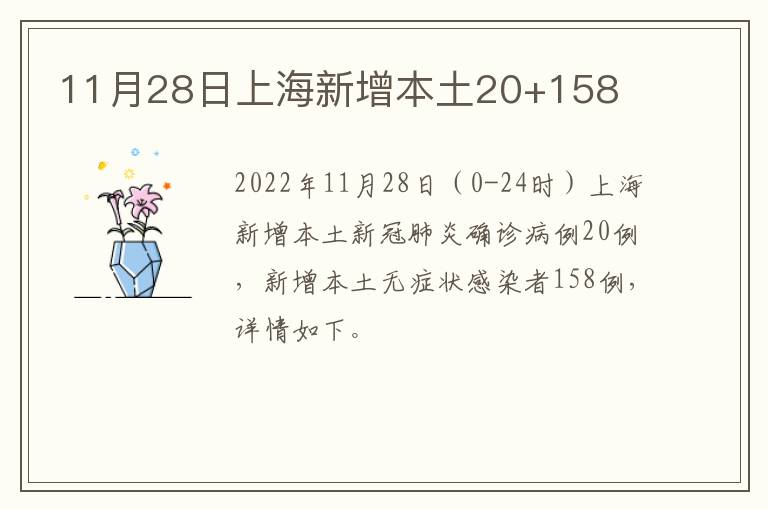 11月28日上海新增本土20+158