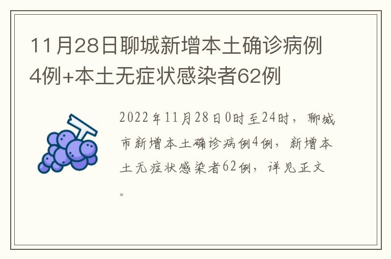 11月28日聊城新增本土确诊病例4例+本土无症状感染者62例