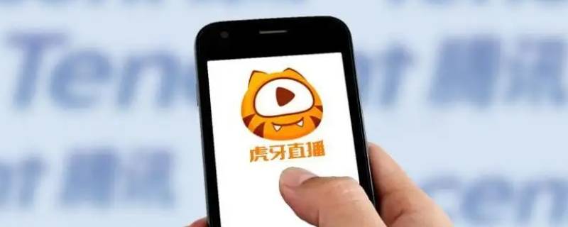 皮小秀虎牙叫什么