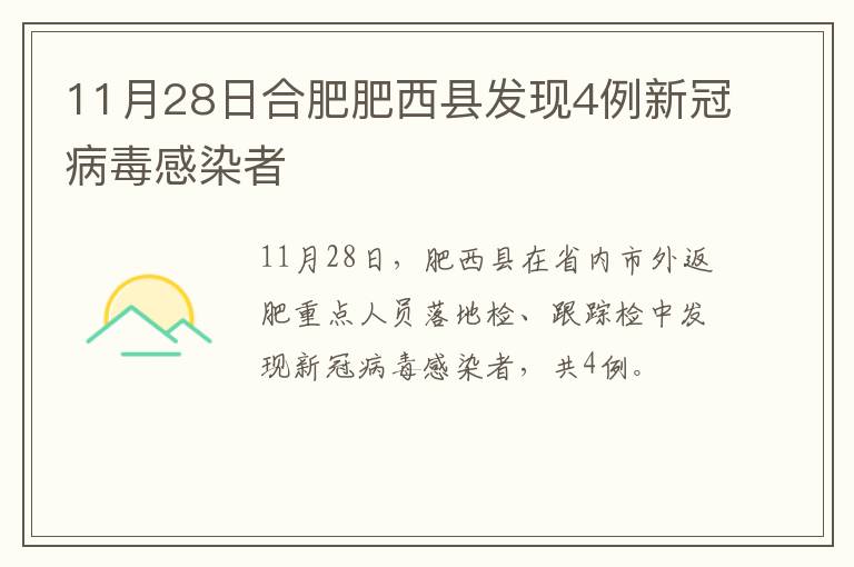 11月28日合肥肥西县发现4例新冠病毒感染者