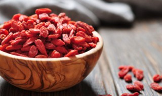 炖鸽子简单方法 怎样炖鸽子