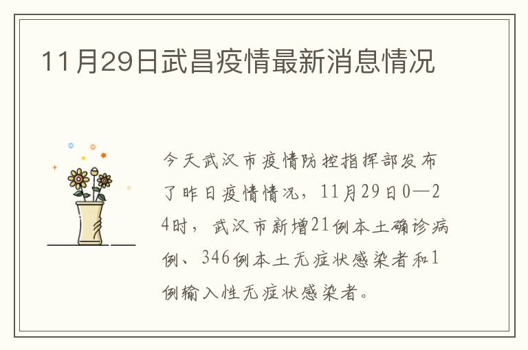 11月29日武昌疫情最新消息情况