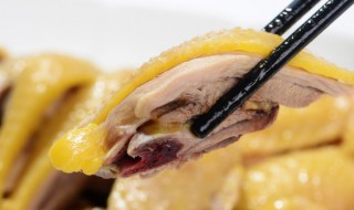 吃嫩公鸡发病了怎么办 吃了公鸡肉全身发痒怎么办