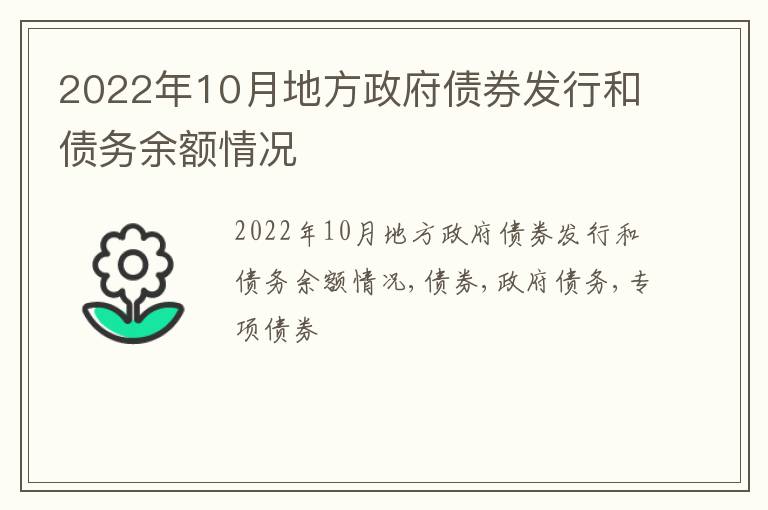 2022年10月地方政府债券发行和债务余额情况