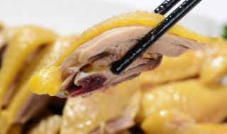 懒人炖整鸡的简单方法 懒人炖整鸡做法简介