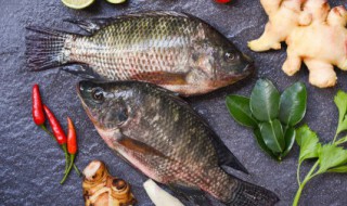 麻辣鲤鱼怎么炖最好吃 炖麻辣鲤鱼如何做好吃