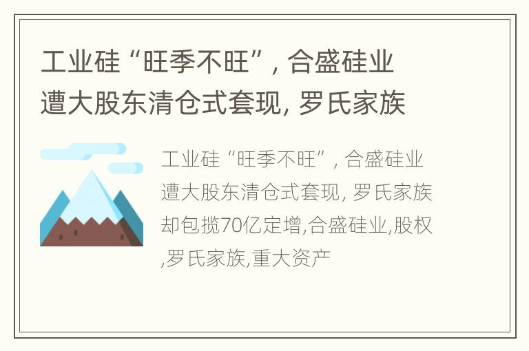 工业硅“旺季不旺”，合盛硅业遭大股东清仓式套现，罗氏家族却包揽70亿定增