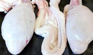 羊鞭羊蛋的做法大全 羊鞭羊蛋如何做法