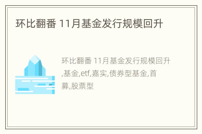 环比翻番 11月基金发行规模回升