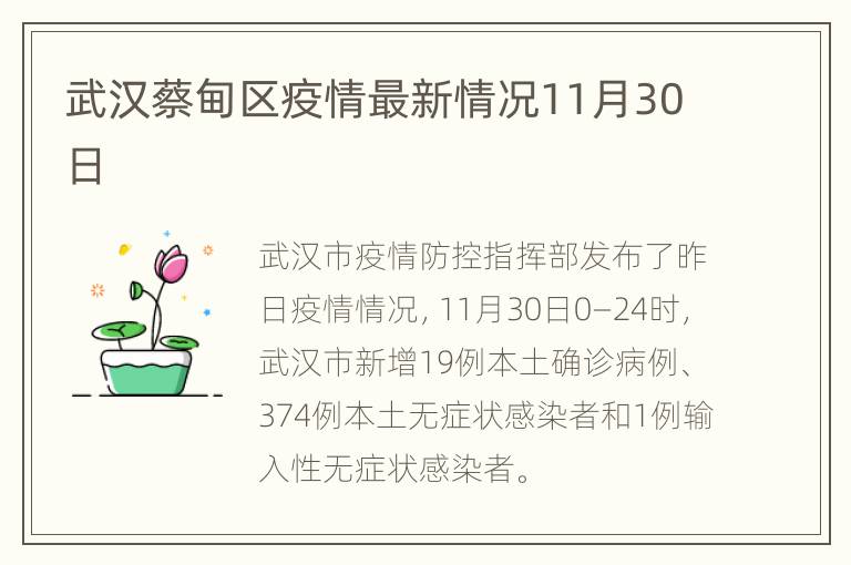 武汉蔡甸区疫情最新情况11月30日