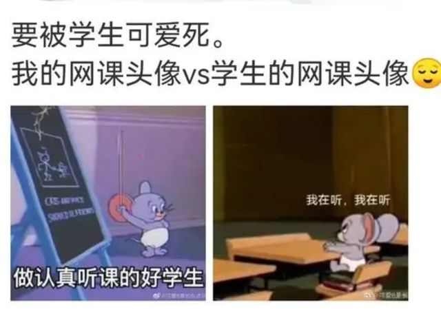 笑不活了！全班换网课头像老师看懵了，这是“植物大战老师”？