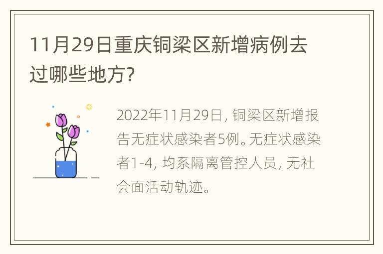 11月29日重庆铜梁区新增病例去过哪些地方？