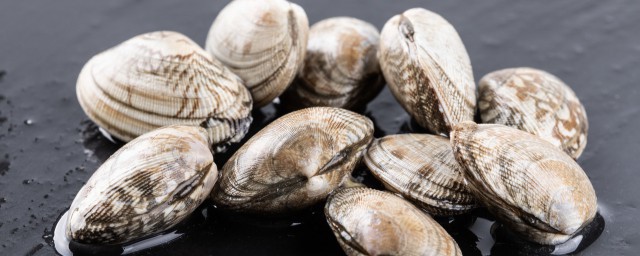 新鲜的贝壳怎么保存 新鲜的贝壳储存方法有哪些