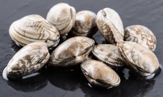 新鲜的贝壳怎么保存 新鲜的贝壳储存方法有哪些