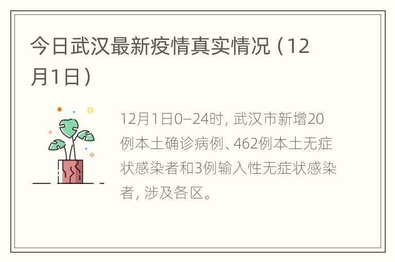 今日武汉最新疫情真实情况（12月1日）